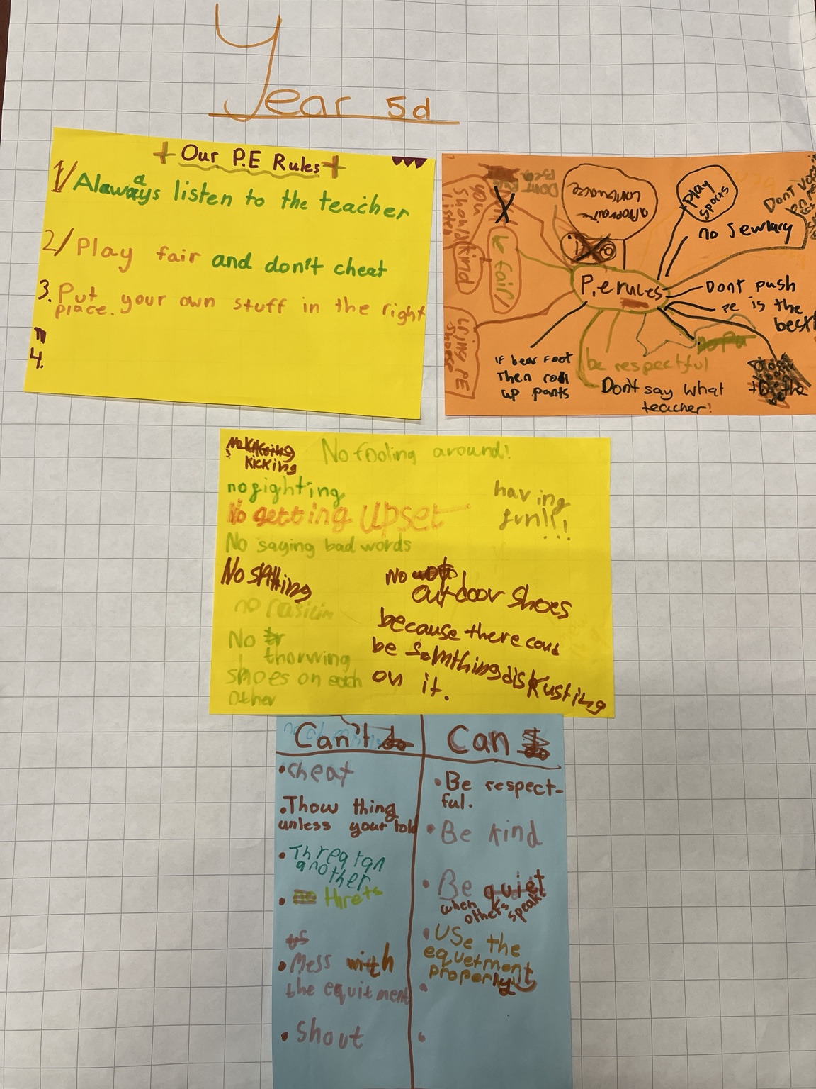 Student-created PE agreement poster: Fair play and caring for equipment